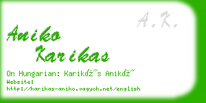 aniko karikas business card